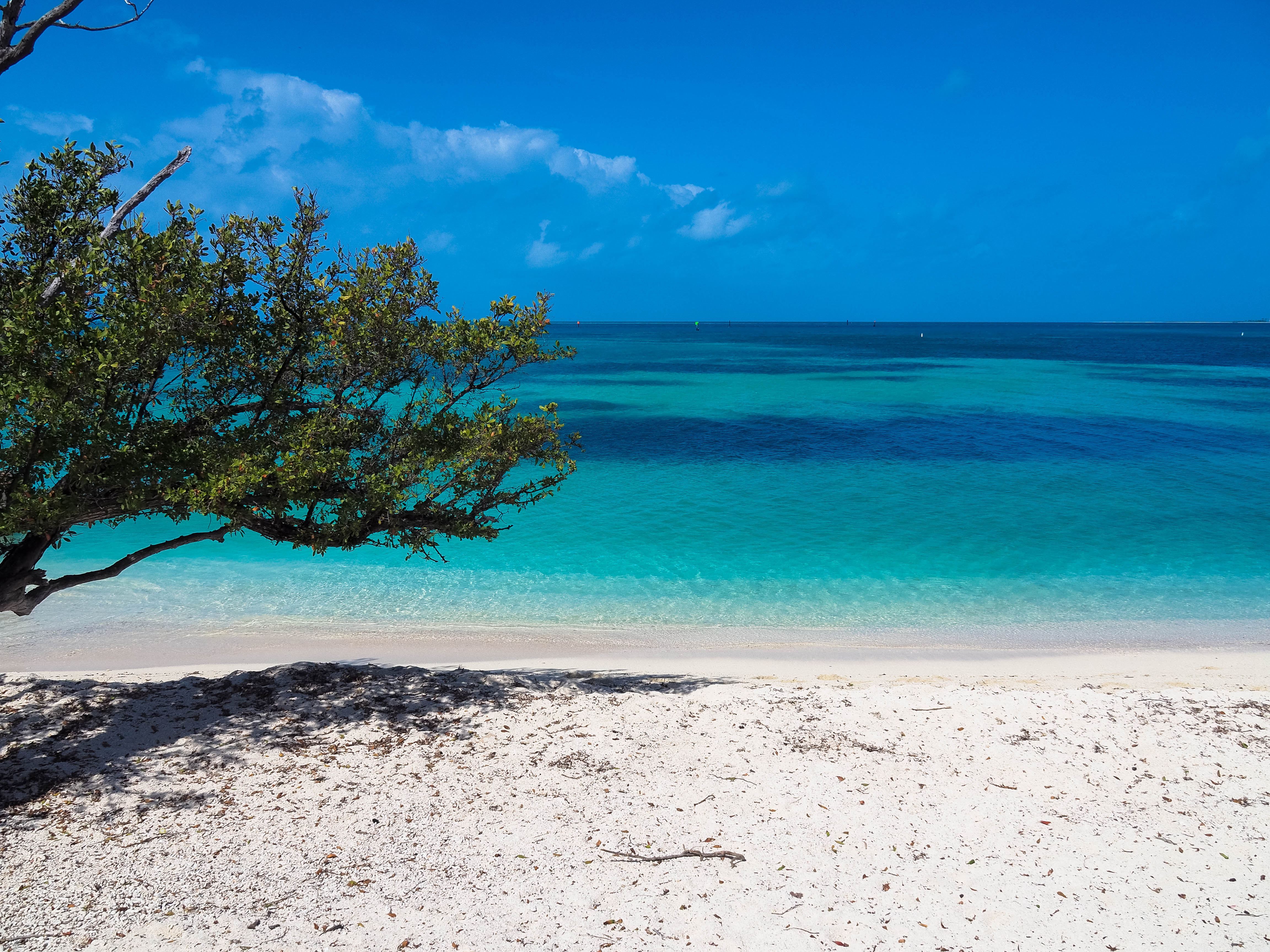 dry tortugas