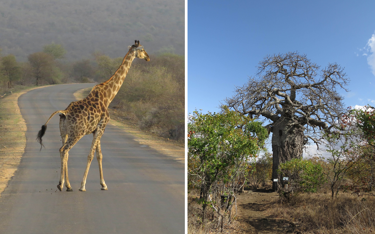sudafrica