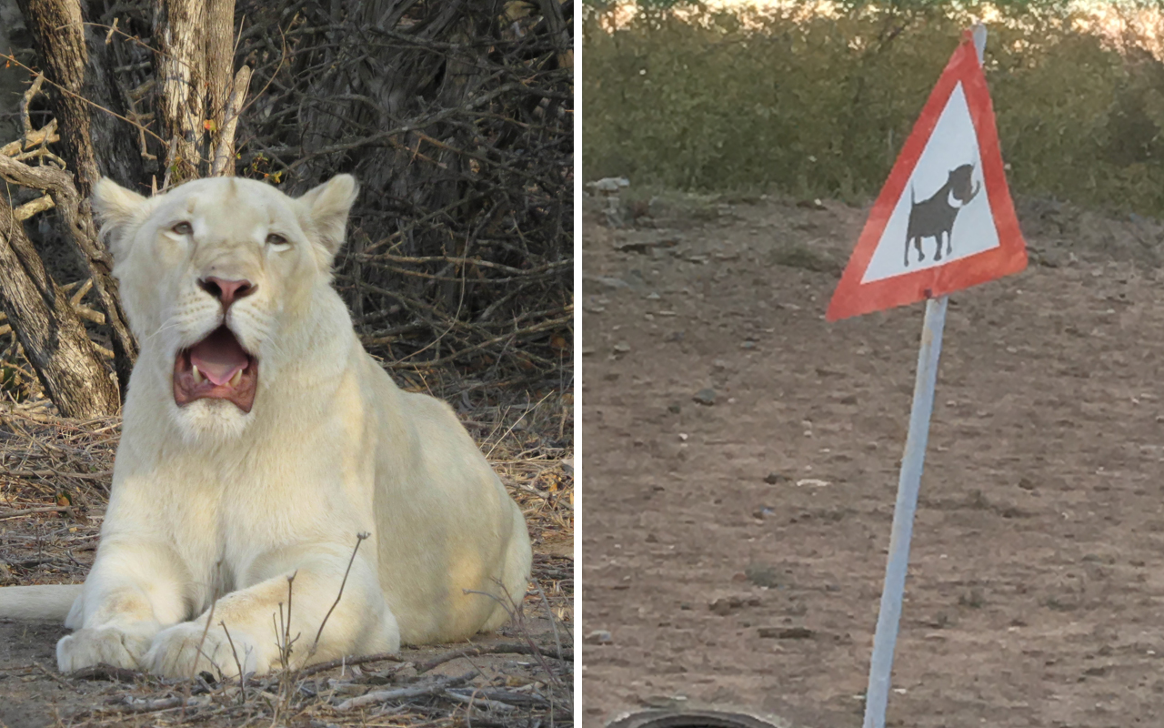 sudafrica