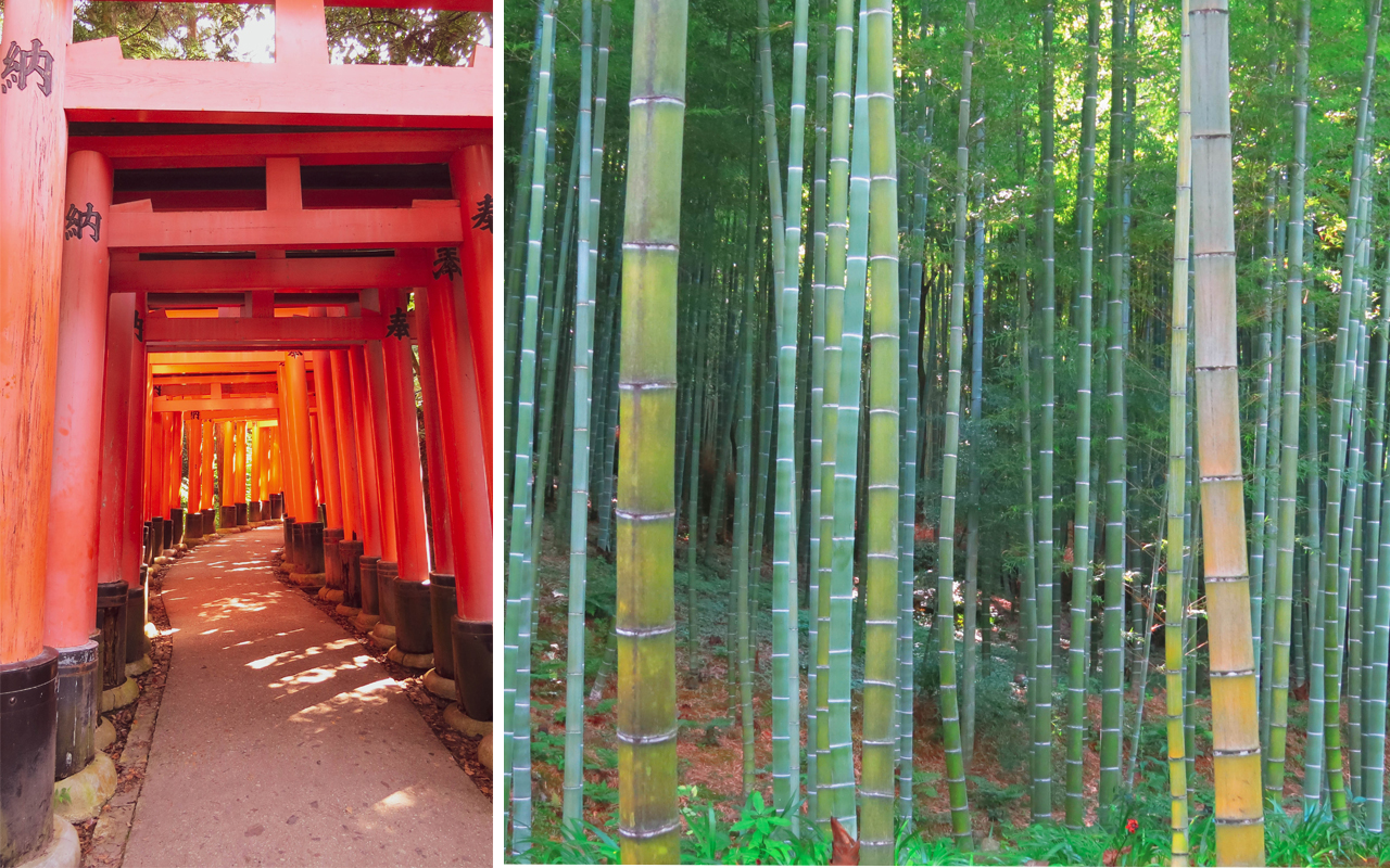 fushimi inari e arashiyama - giappone