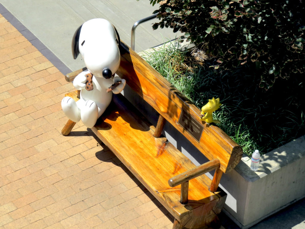charles schulz museum - santa rosa