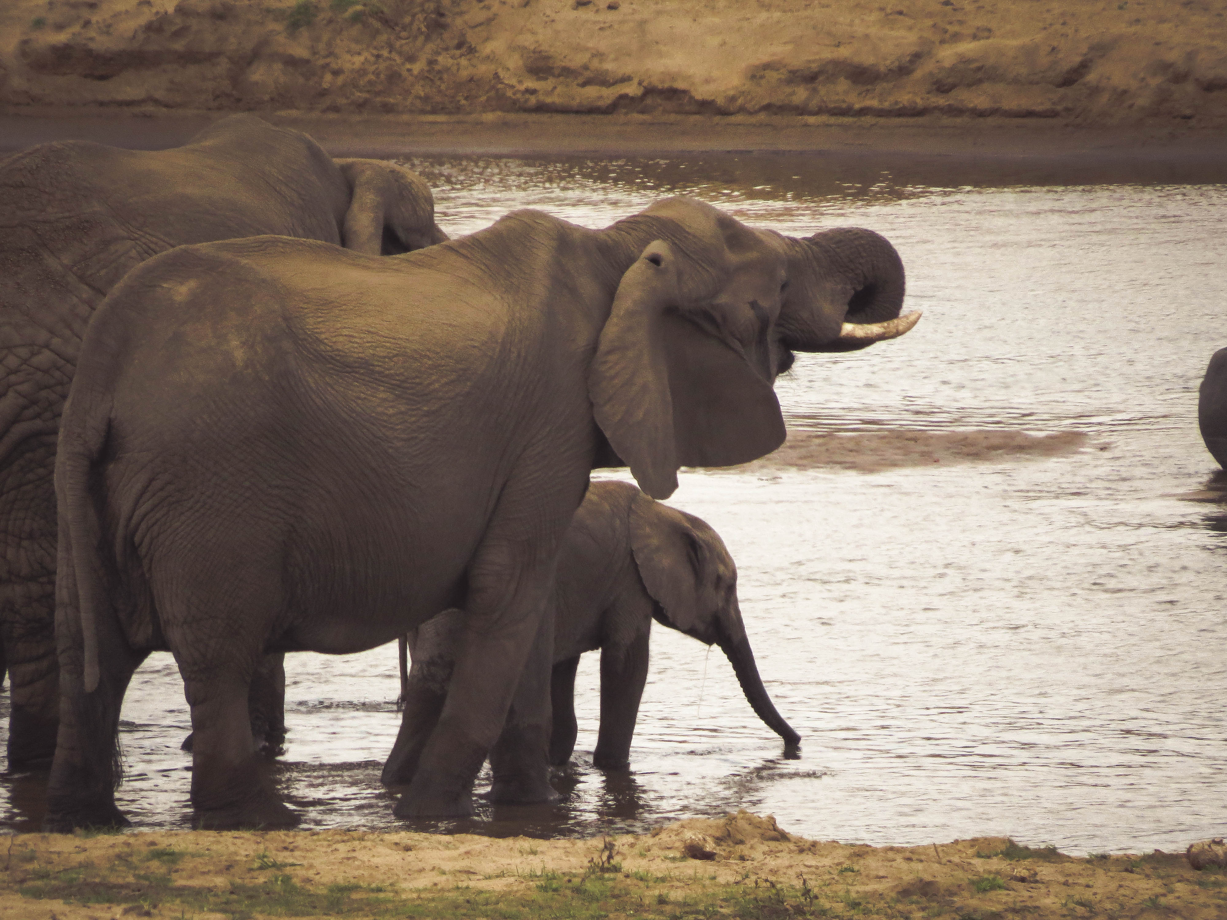 sudafrica - kruger