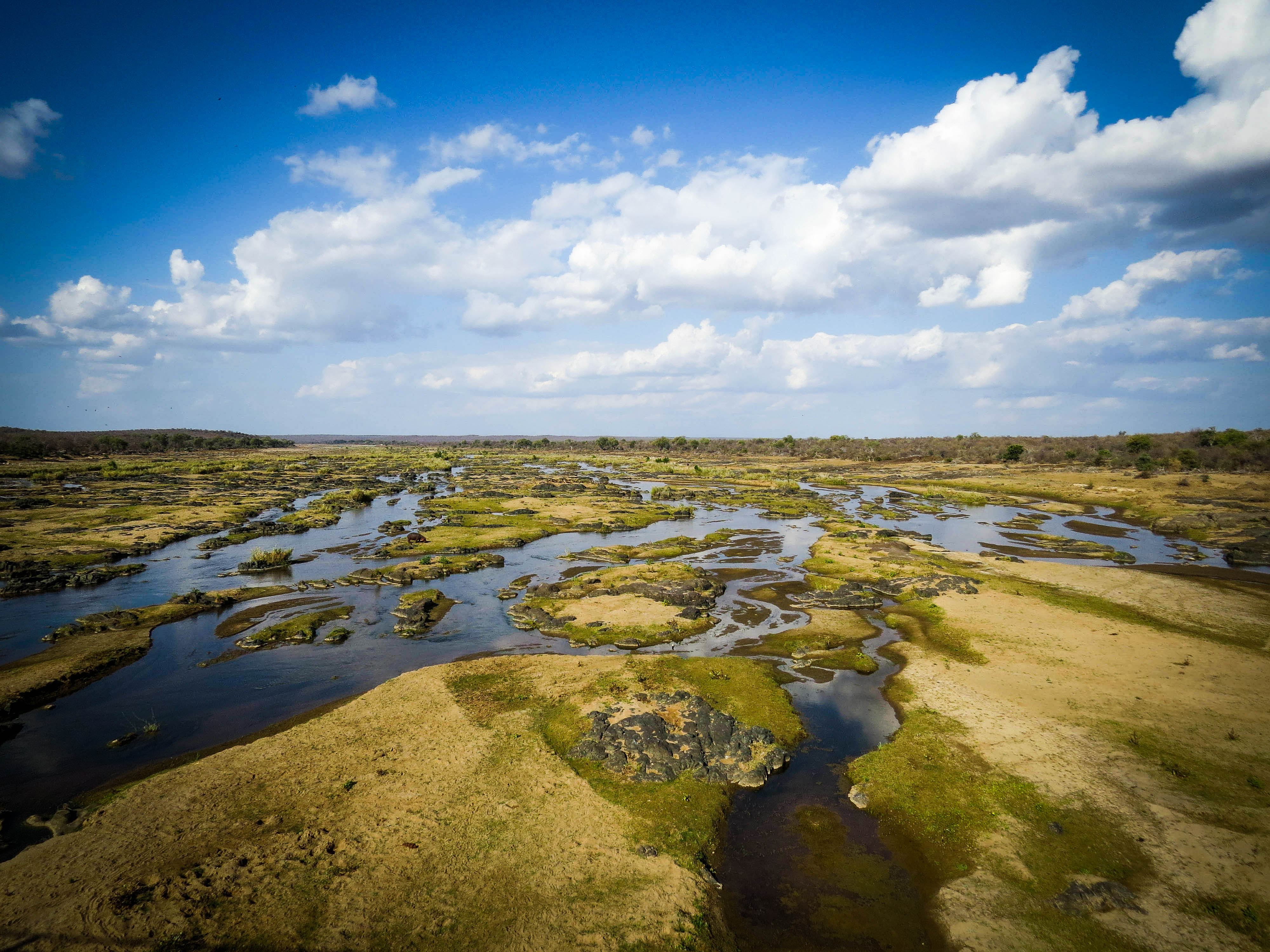 sudafrica - kruger