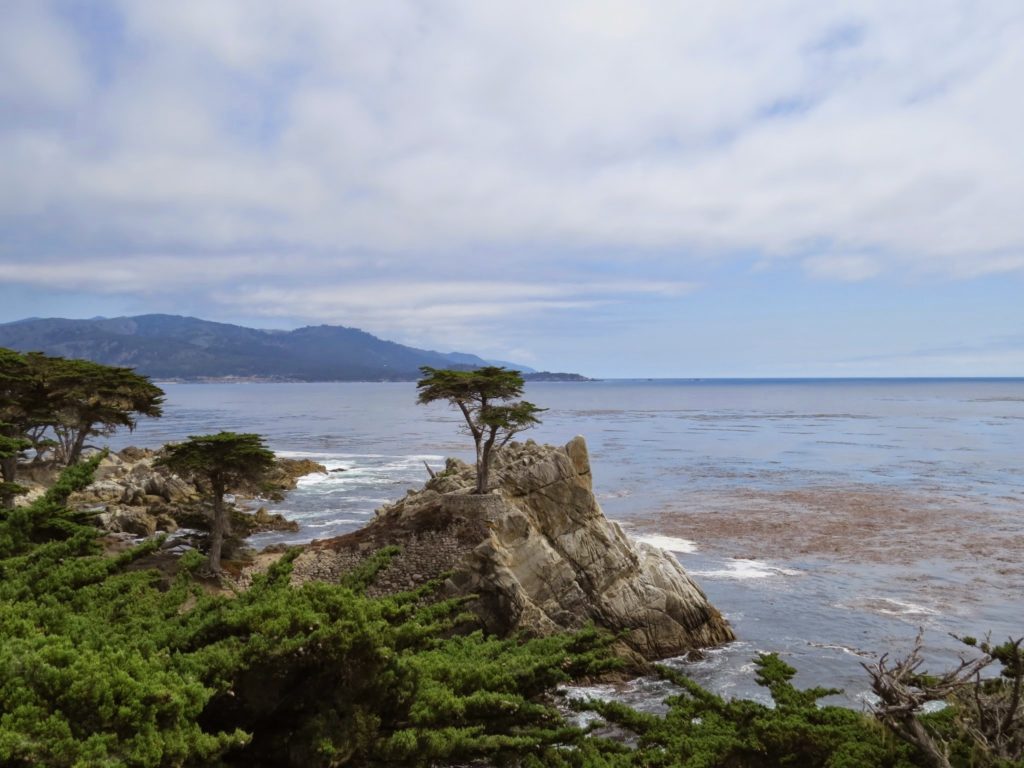 california - 17-mile drive